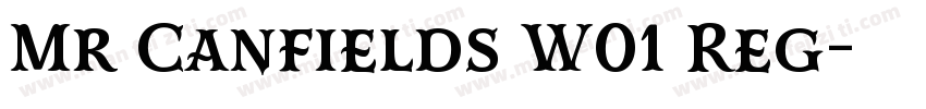 Mr Canfields W01 Reg字体转换